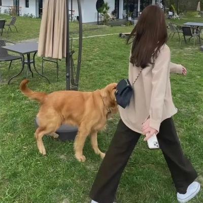 香奈儿秘密情史