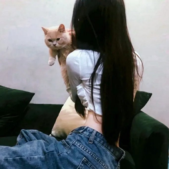 特勤精英